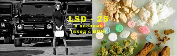 трава Верея